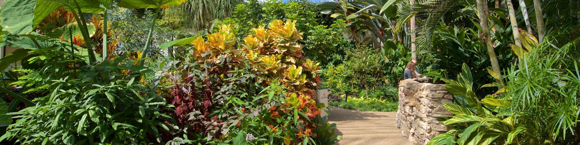 Des Moines Botanical Center featuring a garden and interior views