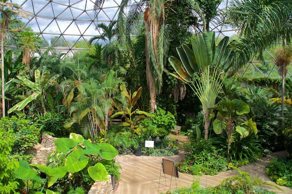 デモイン ボタニカル センター どの含み 庭園 と 屋内の眺め