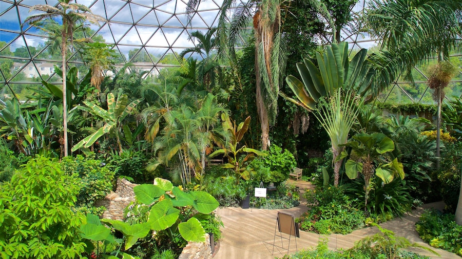 Des Moines Botanical Center showing interior views and a park