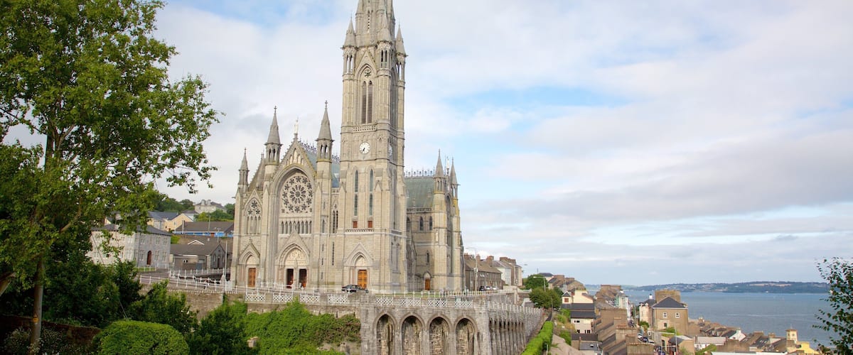 St. Colman\'s Cathedral montrant église ou cathédrale, patrimoine historique et patrimoine architectural