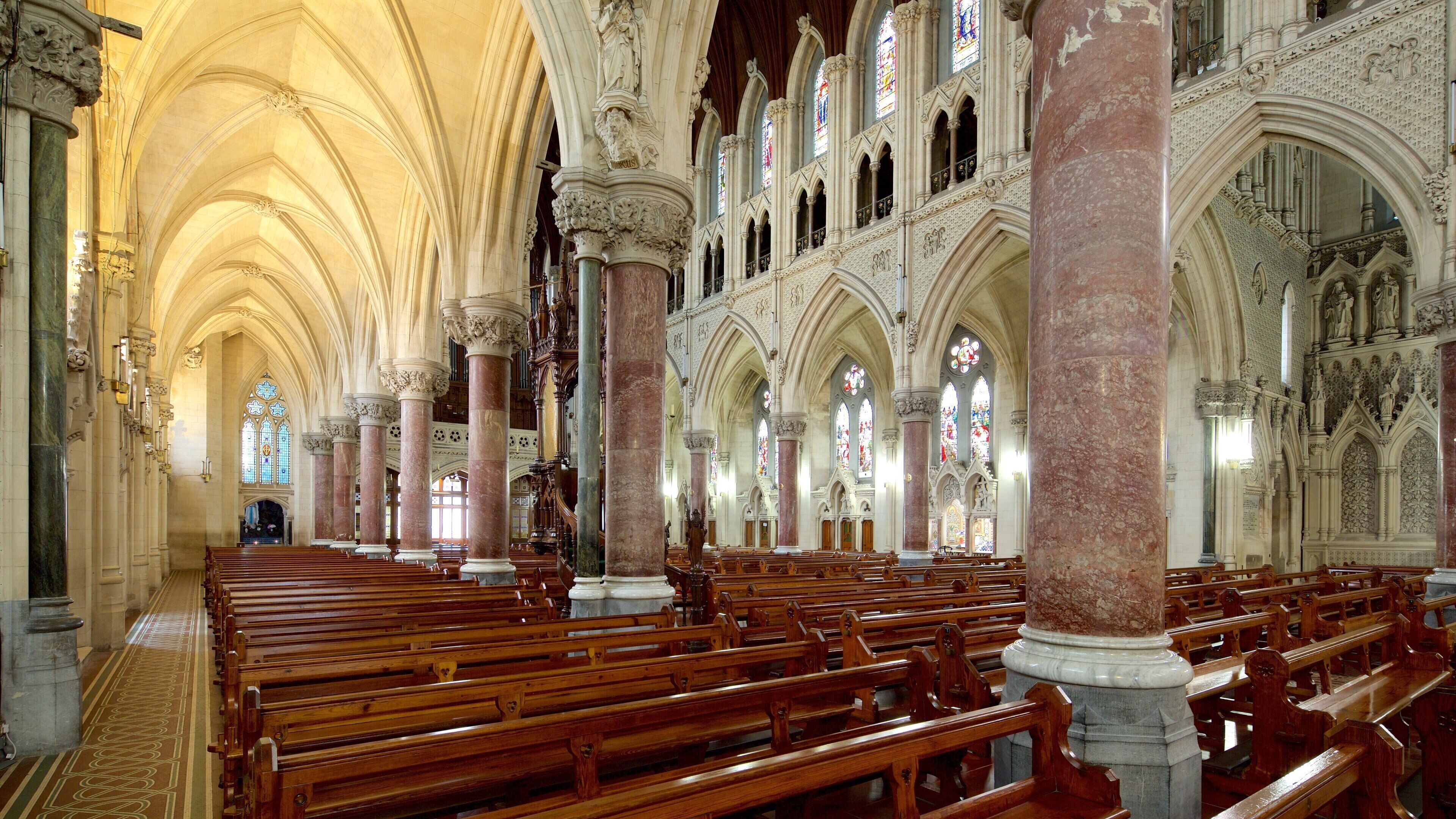 St. Colman\'s Cathedral som viser kirke eller katedral, innendørs og kulturarv