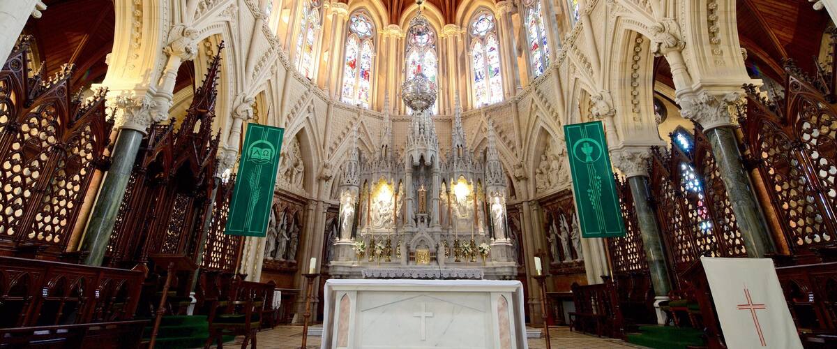St. Colman\'s Cathedral featuring interior views, heritage elements and religious aspects