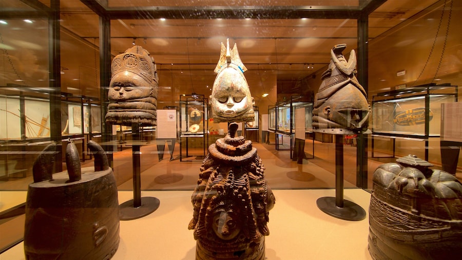 Museo di Scienze Naturali Enrico Caffi