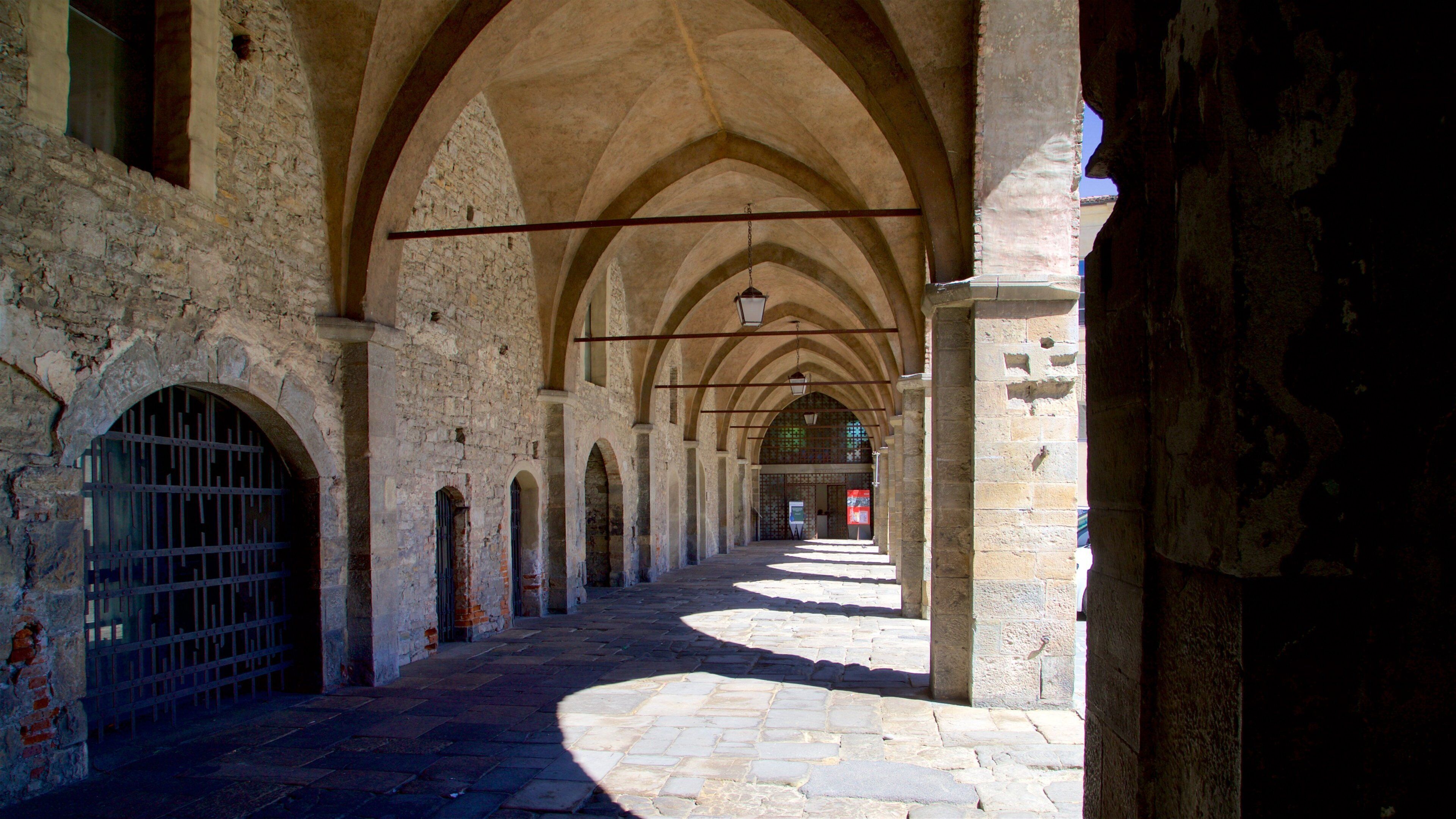 Museu de Ciência Natural de Caffi