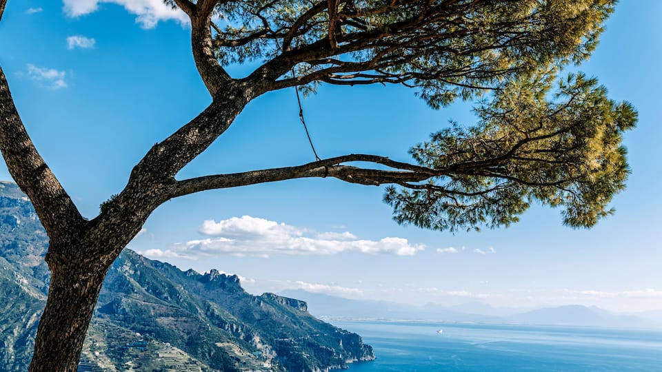 A coastal landscape with a prominent tree, two church towers, and a view of the sea and mountains.