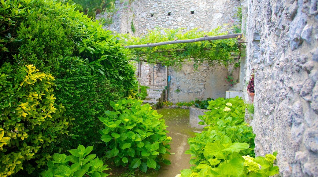 Villa Rufolo showing a garden