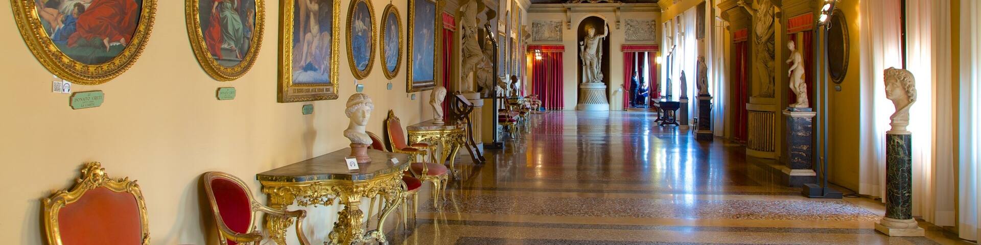 Palazzo Comunale welches beinhaltet Geschichtliches, Innenansichten und Burg