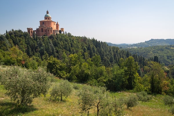 A historic building on a hill surrounded by dense forest.