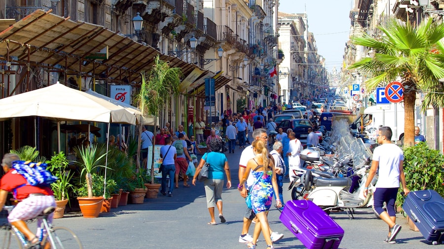 Plaza de la Catedral que incluye una ciudad y escenas urbanas y también un gran grupo de personas