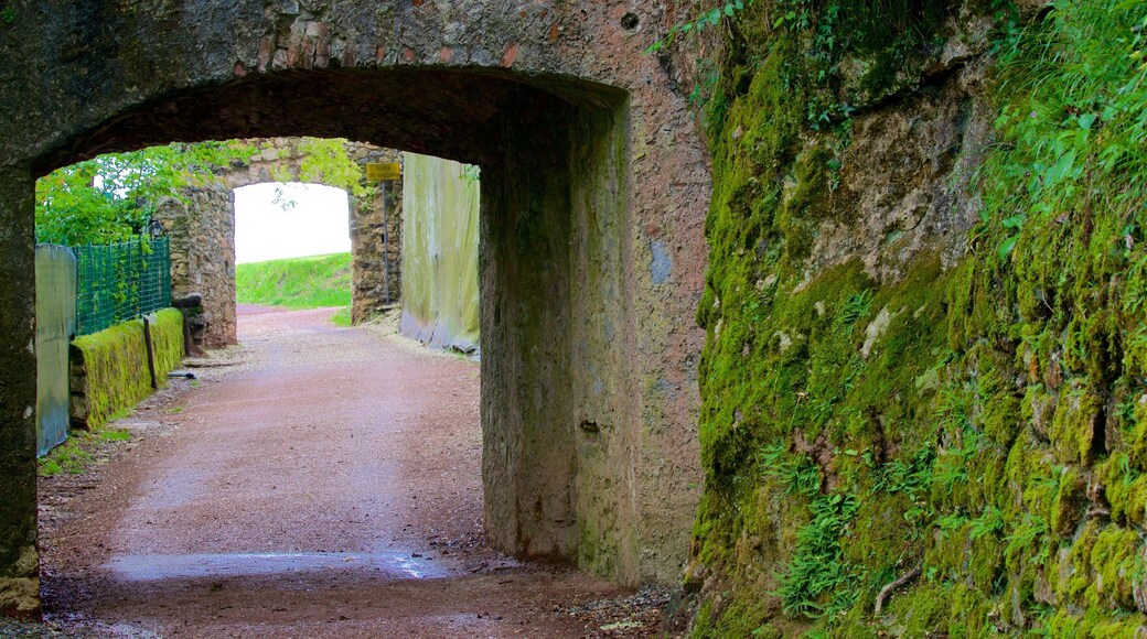 Emilio Greco Museum showing heritage elements