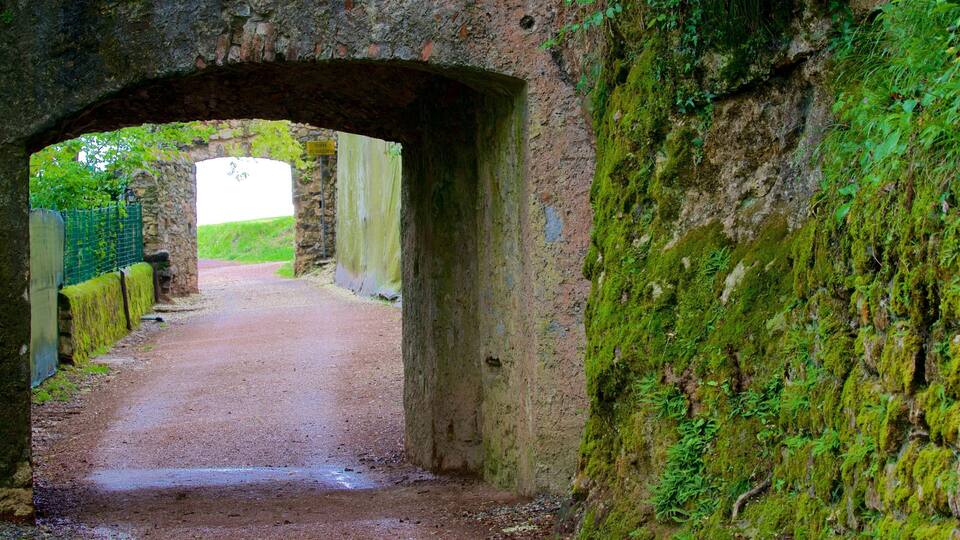 A stone archway leading to a path with moss-covered walls.