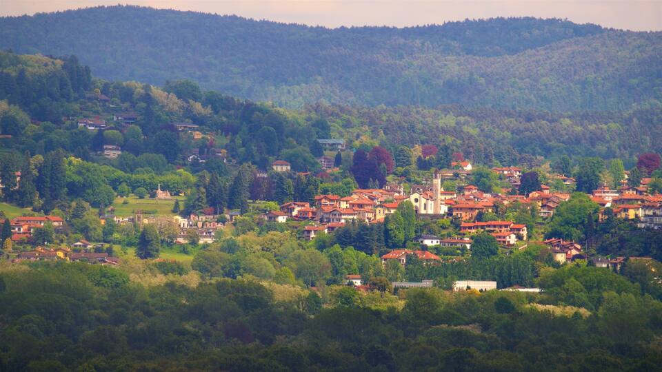A hillside town with red-roofed houses, a church, and a tower.