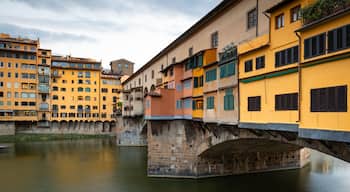 Arcetri showing a bridge and a river or creek