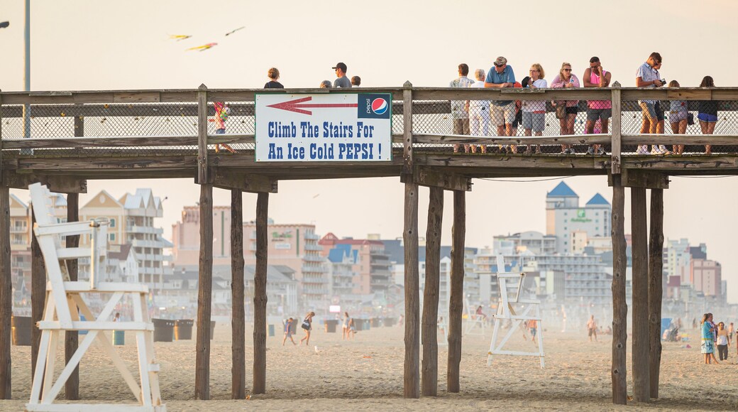 Ocean City Beach showing a beach, signage and general coastal views