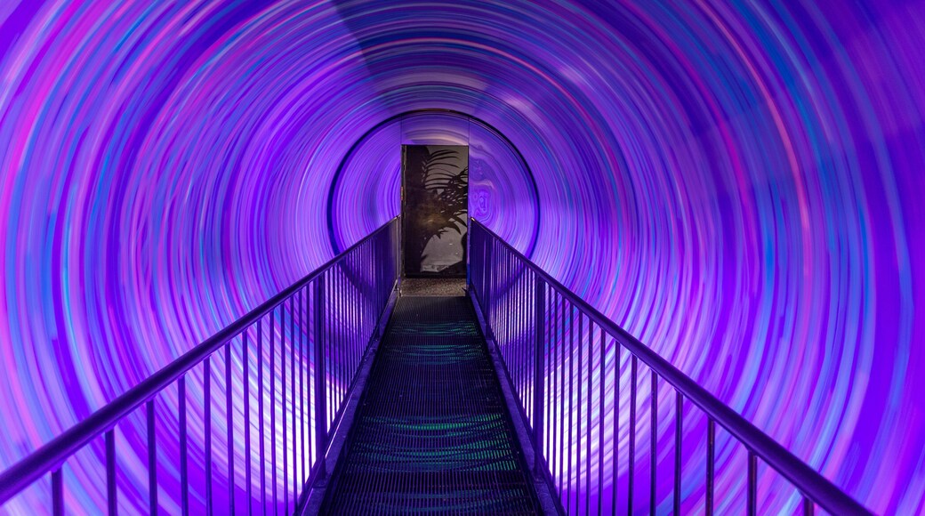 Ripley\'s Believe It or Not Museum