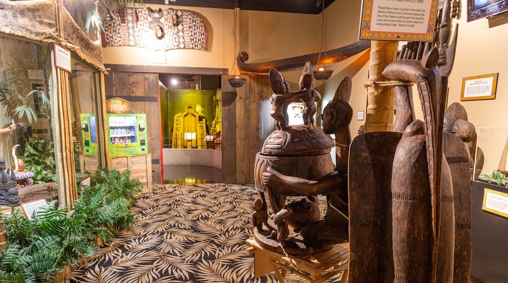 Ripley\'s Believe It or Not Museum