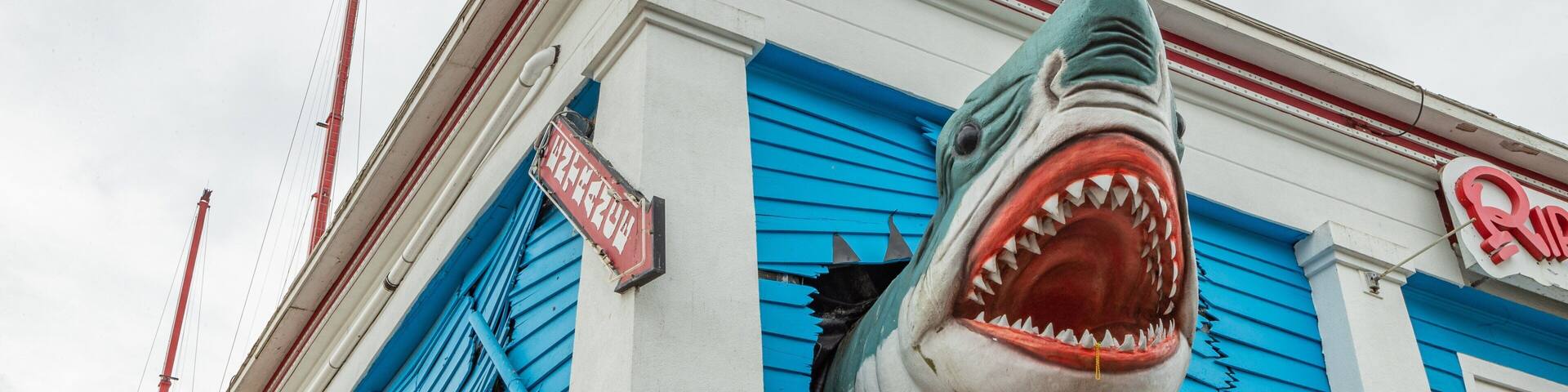 Ripley\'s Believe It or Not Museum