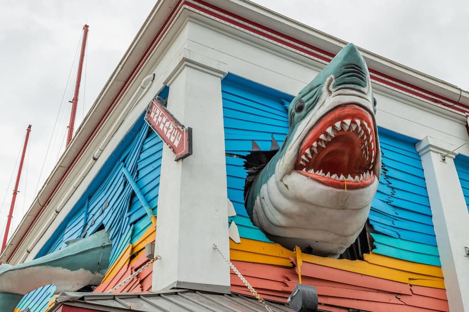 A building with a large shark sculpture protruding from the side.