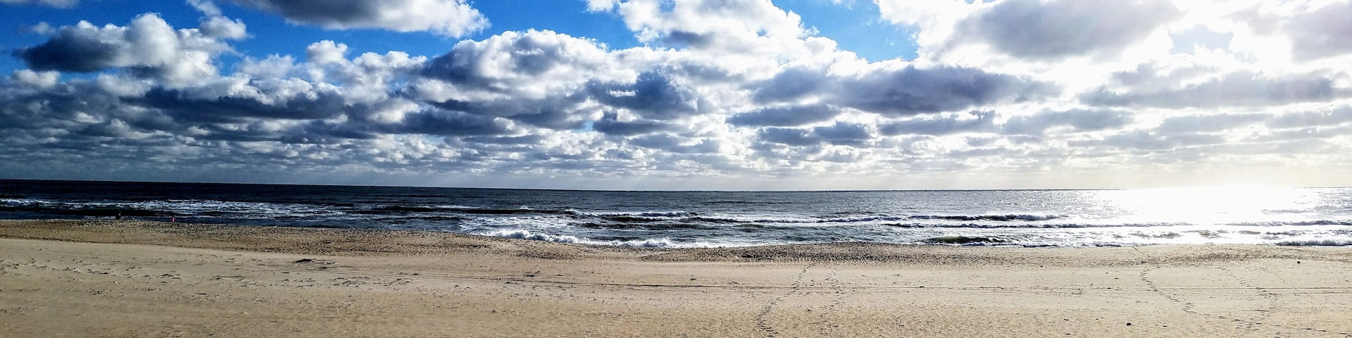 Afternoon beach photo
#trovember