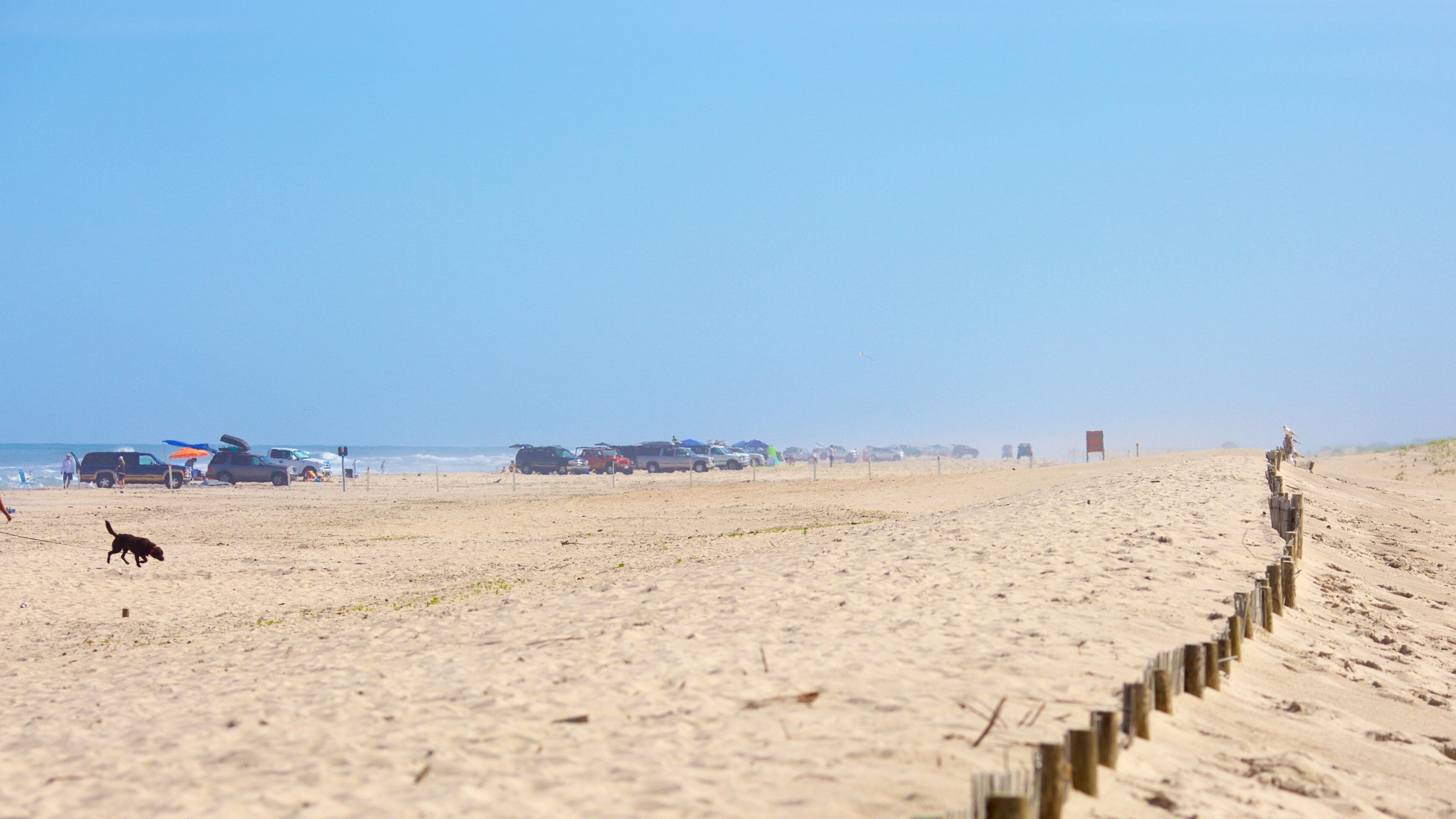 Assateague Island National Seashore caracterizando 4x4 e uma praia