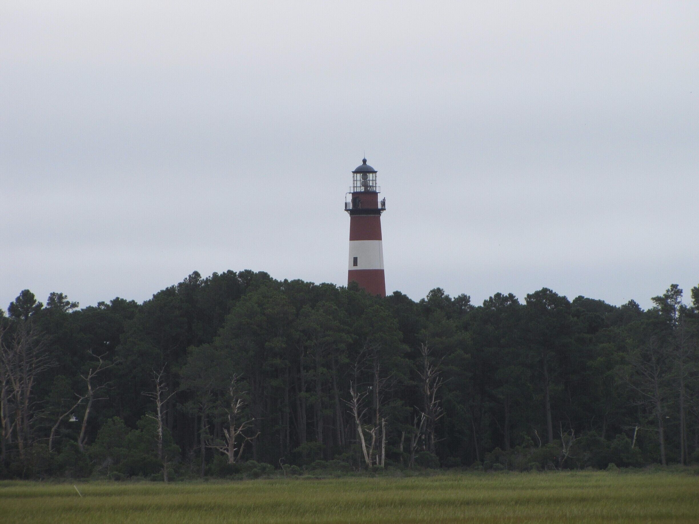 The Assateague Lighthouse as seen from my camping spot on Chincoteague.