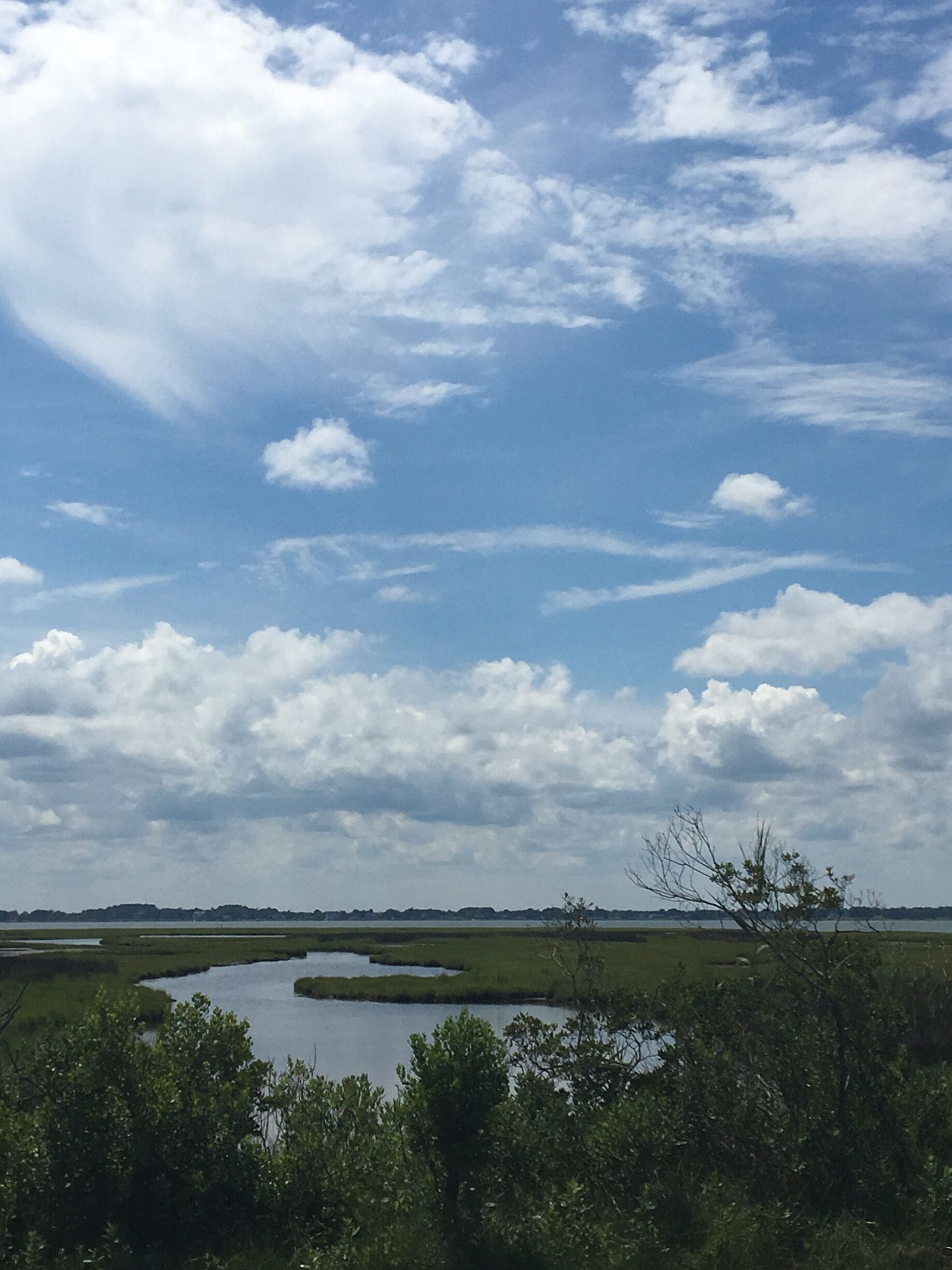 A landscape with a body of water, trees, and a cloudy sky.