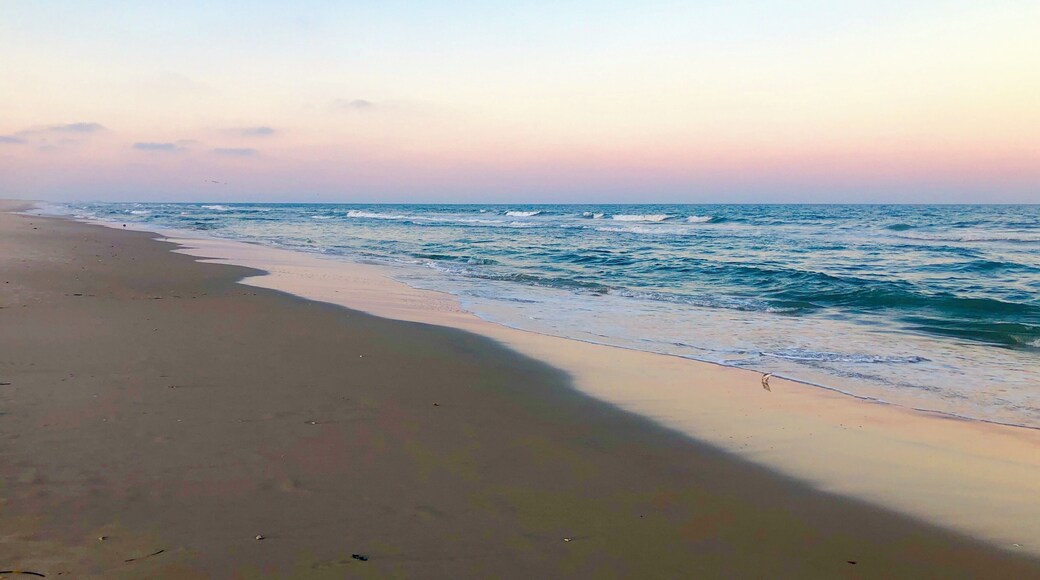 A beautiful evening on the beach! Watching for the wild ponies!
