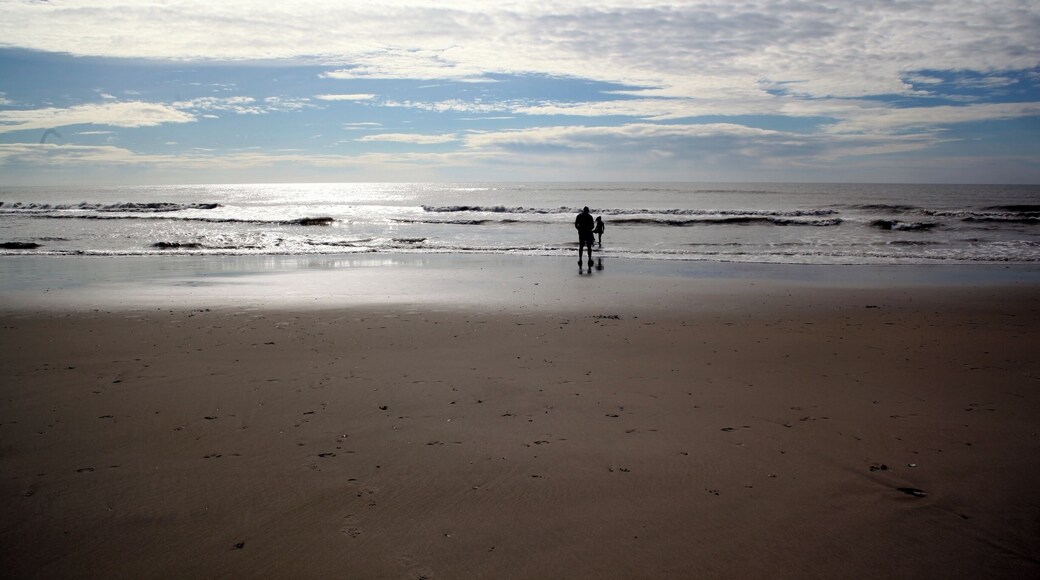 Mid-week morning on the beach is not completely alone, but you have enough space to call your own. A short walk or bike ride will get you away from the crowds.