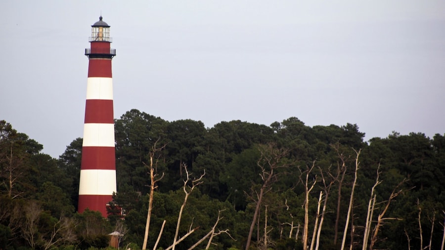 Assateague Lighthouse