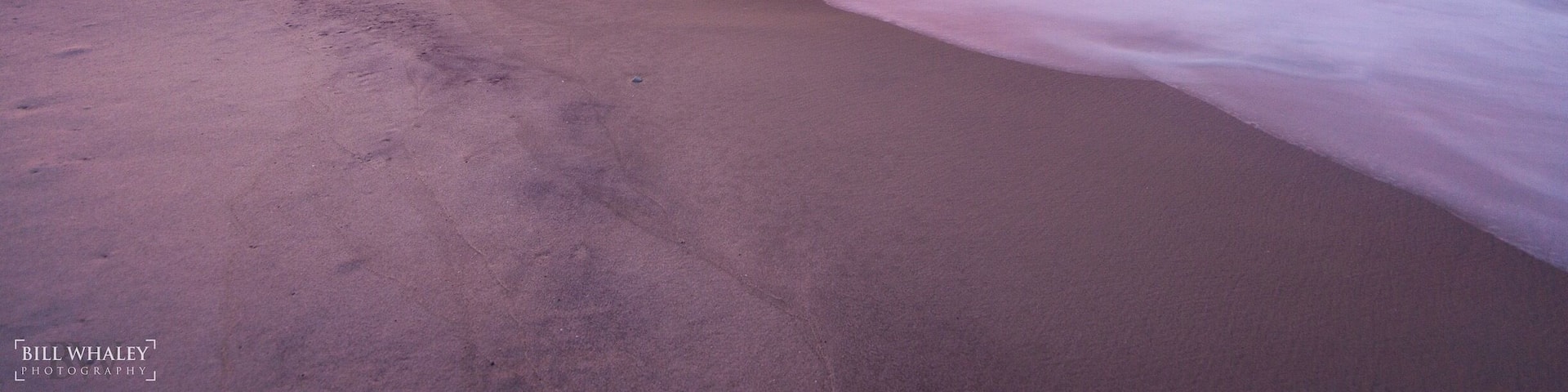 Assateague island stretches along Maryland and Virginias coast and host beautiful beaches with wild ponies