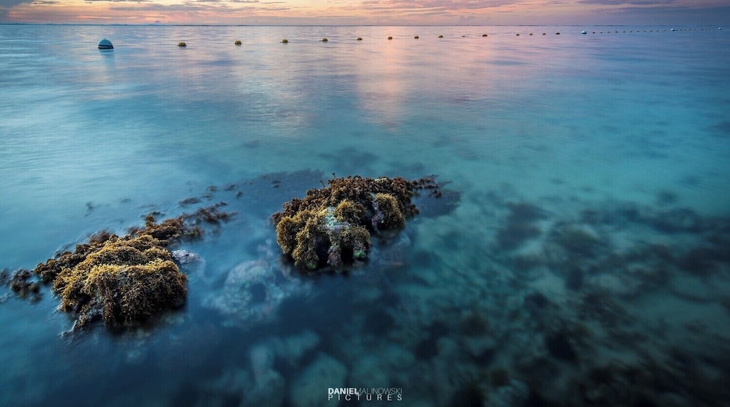 Don`t forget to shot sunrise and sunset at your favorite beach.
#BeachTips #bvsquad #mauritius #sunset