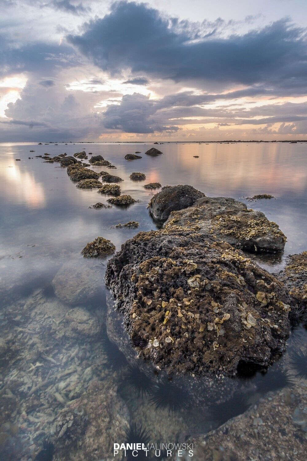 I always try to keep my eyes open especially when I search for a good photo location. Next to these corals crowds of tourists were taking pictures and they tried to skip them on photos.

#BeachTips #bvsquad #mauritius #sunset