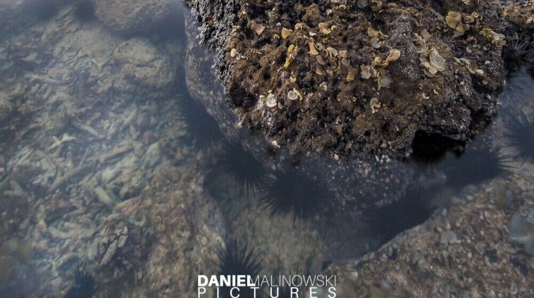 I always try to keep my eyes open especially when I search for a good photo location. Next to these corals crowds of tourists were taking pictures and they tried to skip them on photos.
#BeachTips #bvsquad #mauritius #sunset