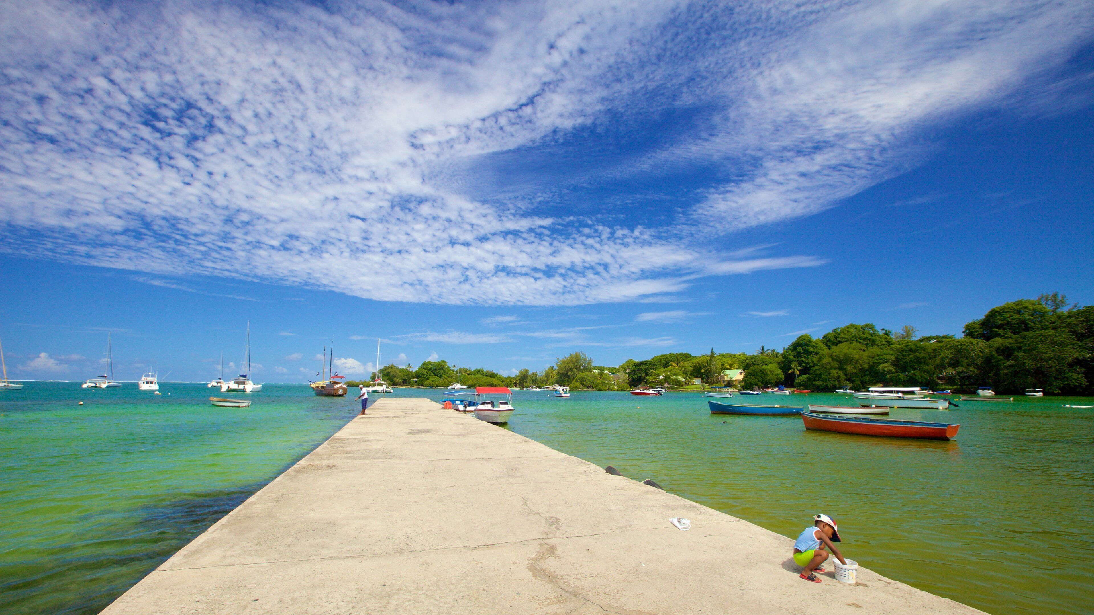 Plage Ile aux Cerfs qui includes vues littorales, navigation et baie ou port
