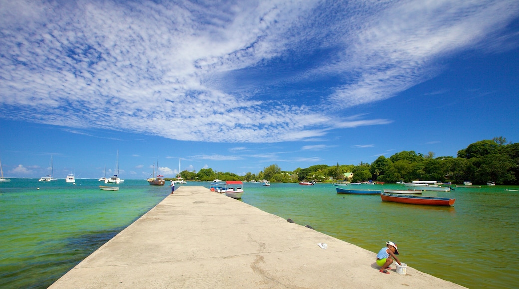 Plage Ile aux Cerfs qui includes vues littorales, navigation et baie ou port