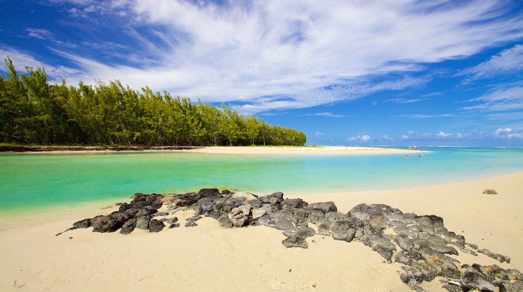 Ile aux Cerfs Beach featuring a beach and general coastal views