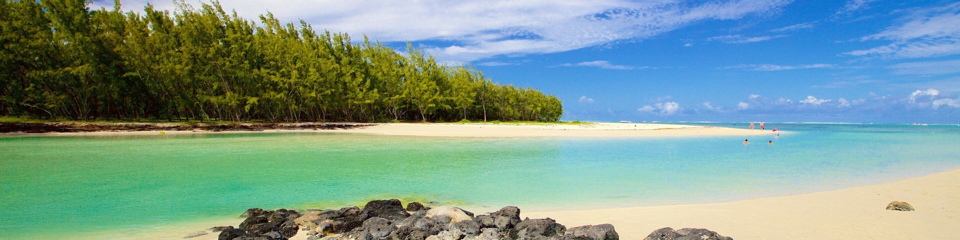 Ile aux Cerfs Beach featuring a beach and general coastal views