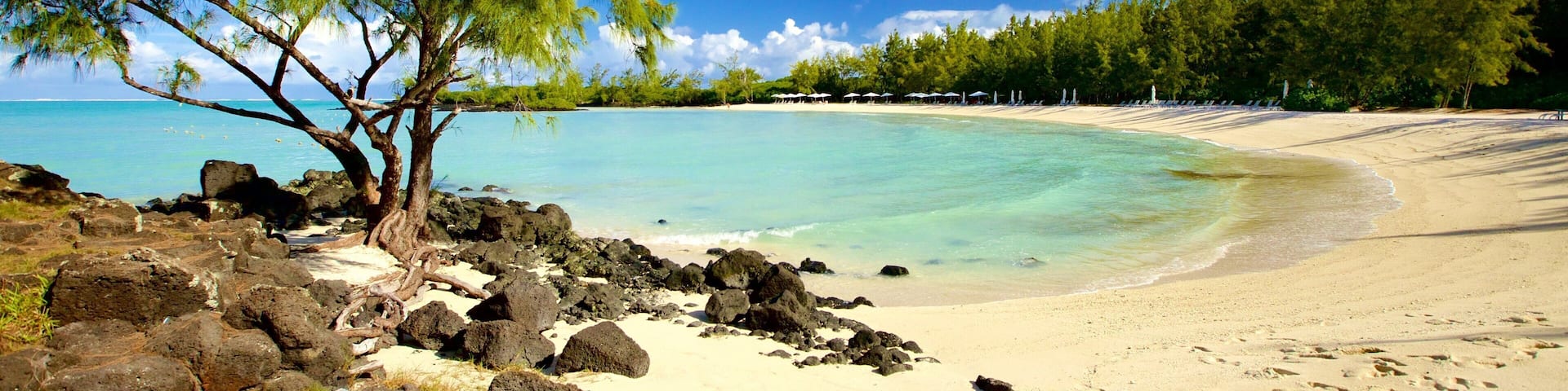 Ile aux Cerfs Beach que incluye una bahía o un puerto y una playa de arena