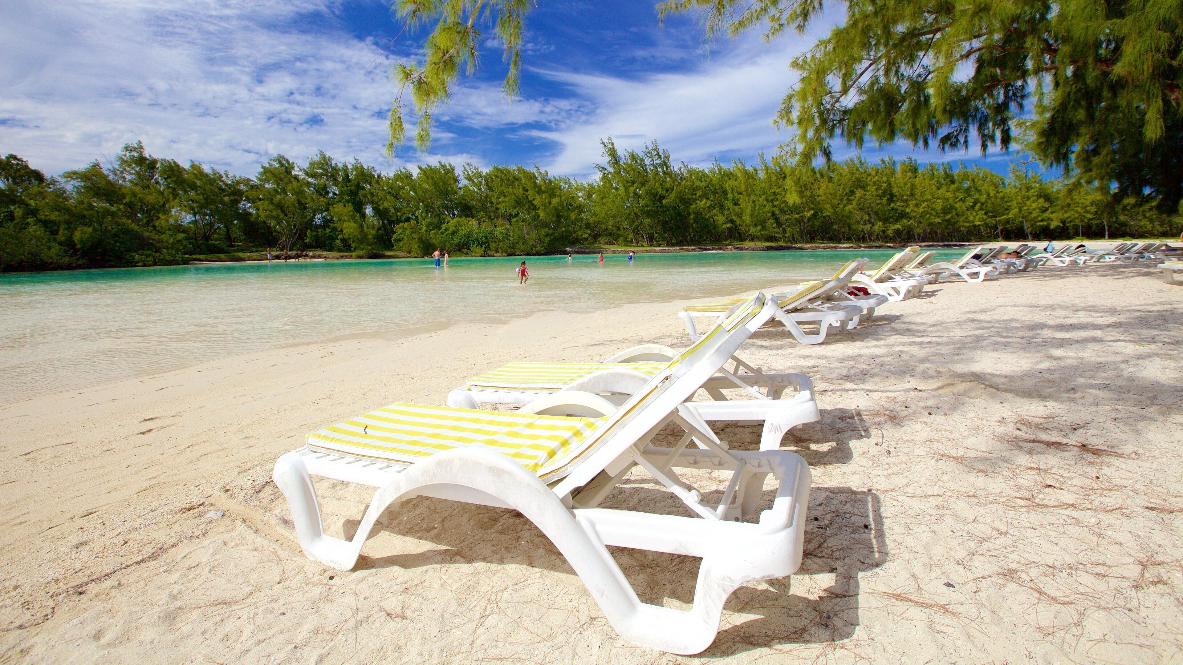 Ile aux Cerfs Beach mostrando una playa