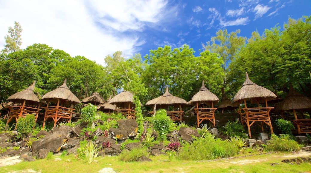 Ile aux Cerfs Beach featuring tropical scenes