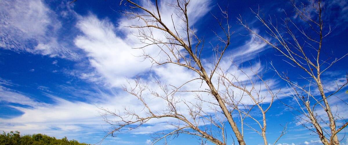 หาด Ile aux Cerfs เนื้อเรื่องที่ ชายหาด