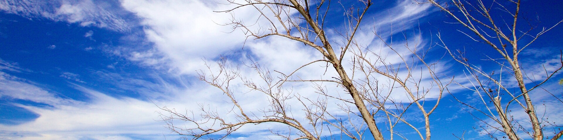 Strand von Ile aux Cerfs