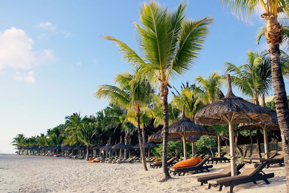 A beach with palm trees, lounge chairs, and thatched umbrellas.