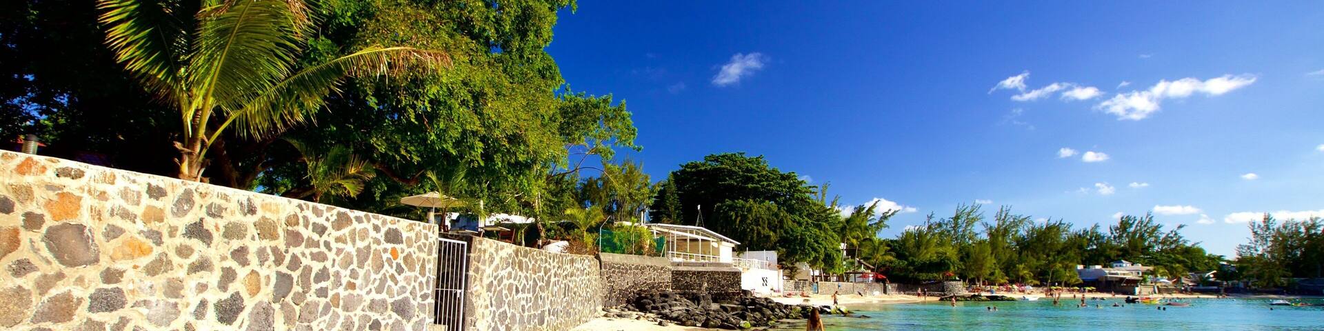 A beach with clear turquoise water, a stone wall, and lush greenery.