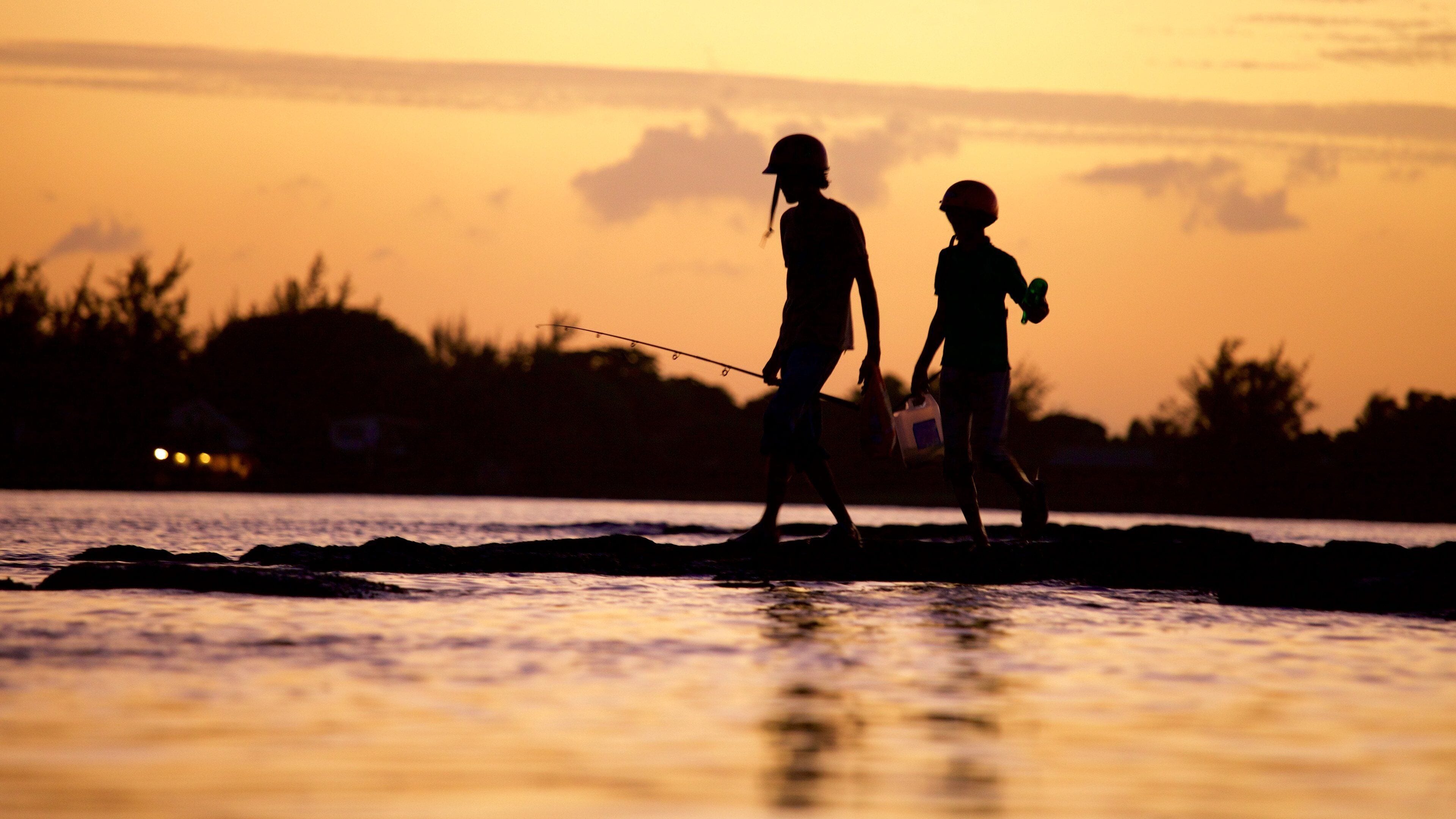 Mauritius which includes a sunset, general coastal views and fishing