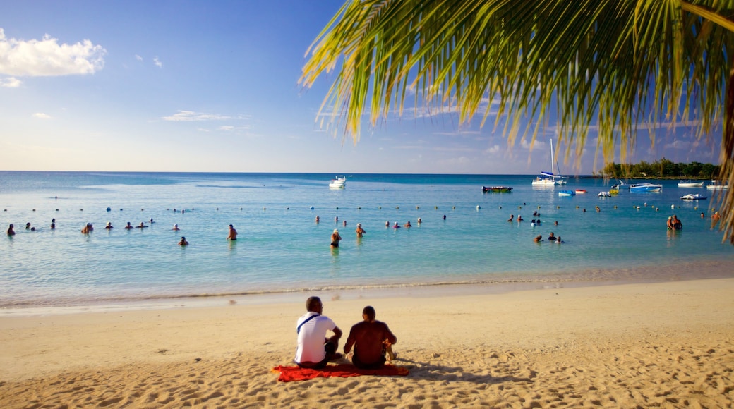 Mauritius showing a beach as well as a small group of people
