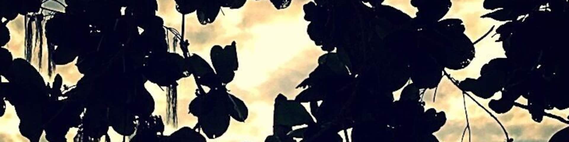 Sunsets like this......Beautiful View of the beach @ Mount Choisy Mauritius. #BeachBound