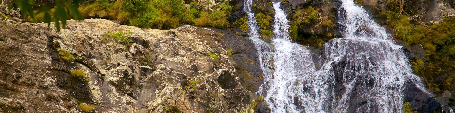 Cataratas Tamarind mostrando uma cascata e um desfiladeiro ou canyon