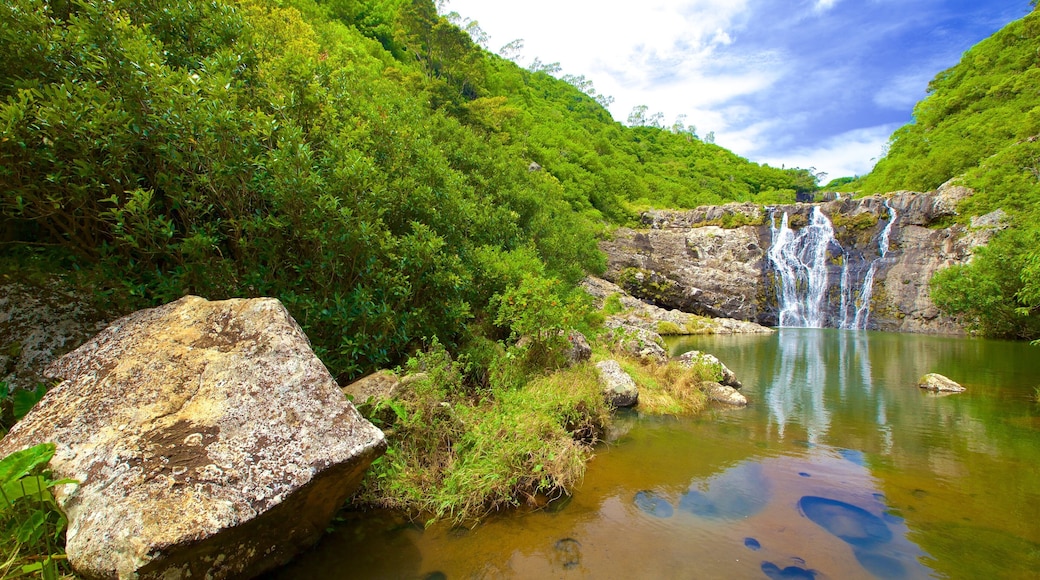 Tamarind Falls showing a waterfall, a lake or waterhole and a gorge or canyon