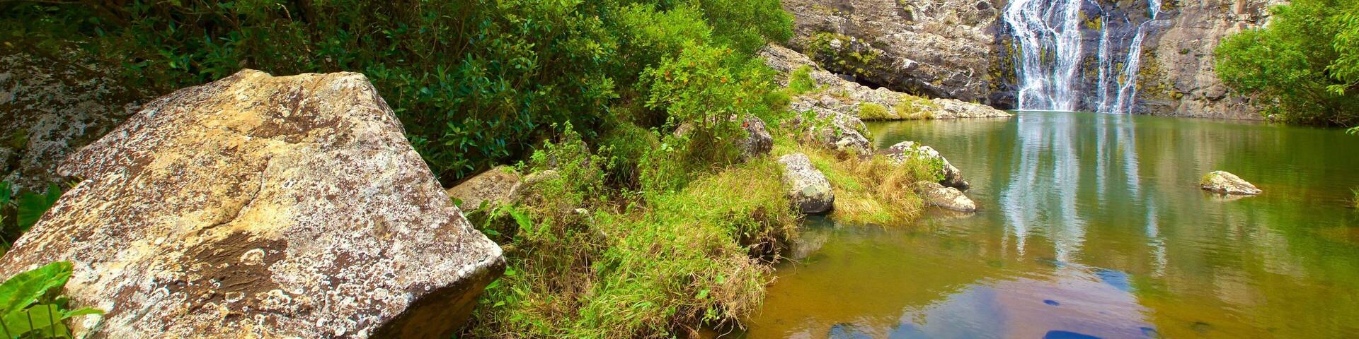 Tamarind Falls showing a waterfall, a lake or waterhole and a gorge or canyon